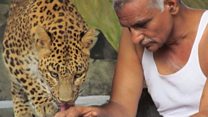 The man who runs an 'orphanage' for wild animals