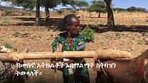 ሴቷ አርሶ አደር
