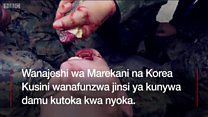 Wanajeshi wanaojifunza jinsi ya kunywa damu ya nyoka na kisha kuwala