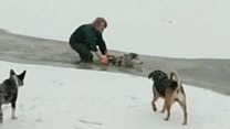 Dramatic dog rescue captured on camera in Vancouver