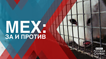 Пора ли запретить производство меха?