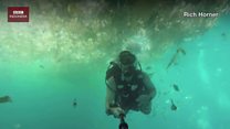 Di Bali, pria Inggris ini menyelam dengan banyak sampah plastik.