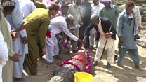 কুমিরের গলায় কেন ফুলের মালা পাকিস্তানে