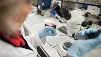 ما معنى عبارة DNA Test؟