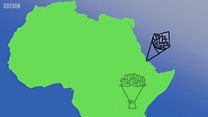 የአፍሪካ ነፃ የንግድ ዝውውር ቀጣና