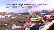 'Tipio anghyfreithlon ar raddfa ddiwydiannol'