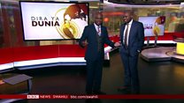 Matangazo ya Dira ya Dunia TV
