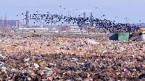 Russian toxic landfill protest