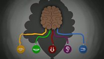 اختلال رفتاری بنام اوتیسم