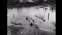 စင်္ကာပူရဲ့ အတိတ်ပုံရိပ်များ