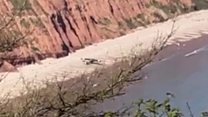 Plane makes emergency beach landing