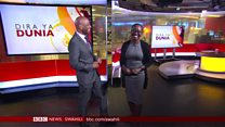 Matangazo ya Dira ya Dunia TV