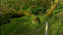 Cynllun i atal llifogydd yn Nyffryn Clwyd