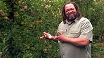 'I know all about AK-47s - and now apples!'