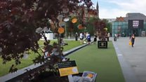 Trees trail for Manchester attack tributes