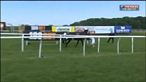 TV presenter tackles loose racehorse