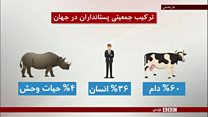 روز جهانی تنوع زیستی؛ ششمین انقراض بزرگ در راه است