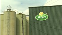 Arla: Cynhyrchu caws label Cymru yn Lloegr