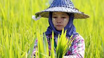 မြန်မာ့အရေးကမ္ဘာ့အရေး အစီအစဉ်