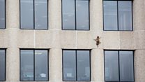 Daredevil raccoon takes on skyscraper