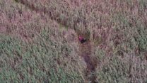 Drone finds missing man stuck in marshes