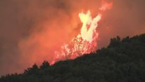 Wildfire spreads across Northern California