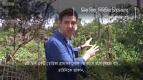 যে রোহিঙ্গা গ্রামটি বিবিসিকে দেখতে দিতে চায়নি মিয়ানমার