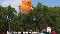 Бул үйлөтүлгөн "Бала Трамп" АКШ президентин капага салды