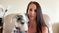 How blind dog 'gave me hope in life' again