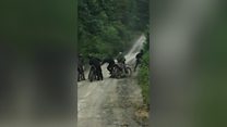 Scramblo yn achosi pryder i ffermwyr
