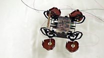 Could a robotic cockroach aid rescues?