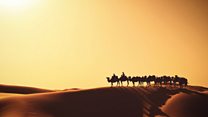 ما معنى عبارة Beauty of the Desert؟