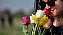 ما معنى عبارة Sense of Smell؟