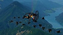 The birds that forgot how to get home