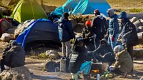 ماذا تعني كلمة migrants؟