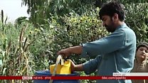 خیبر پښتونخوا کې د اوبو ستونزه