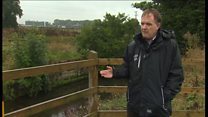'miloedd ar filoedd o bysgod wedi marw'