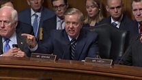 Senator calls process 'an unethical sham'