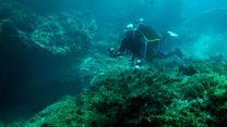 ما معنى عبارة seabed؟