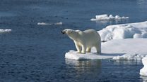 Young activists sue government 'to save planet'