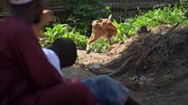NIGERIA : Maltraitance dans certaines écoles coraniques