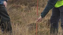 Peatlands