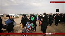 مسافران ایرانی کربلا؛ دشواری زیارت با نرخ بالای ارز