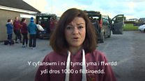 Cofis yn teithio dros 300 milltir am gêm rygbi
