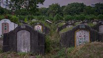 ฮาโลวีน : ป่าช้าวัดดอน ลดความหลอนด้วยสวนสุขภาพ