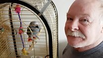 'Bleeping' parrot sparks 999 call-out