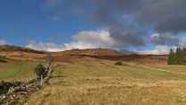 Riaghladh air croit an Loch Carrann