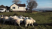 Draghan mu shubsadaidh às dèidh Bhrexit