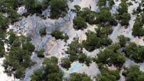 Oil thieves cause spill in Brazil bay