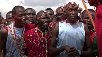 The 'Olympic' Games helping to save lions
